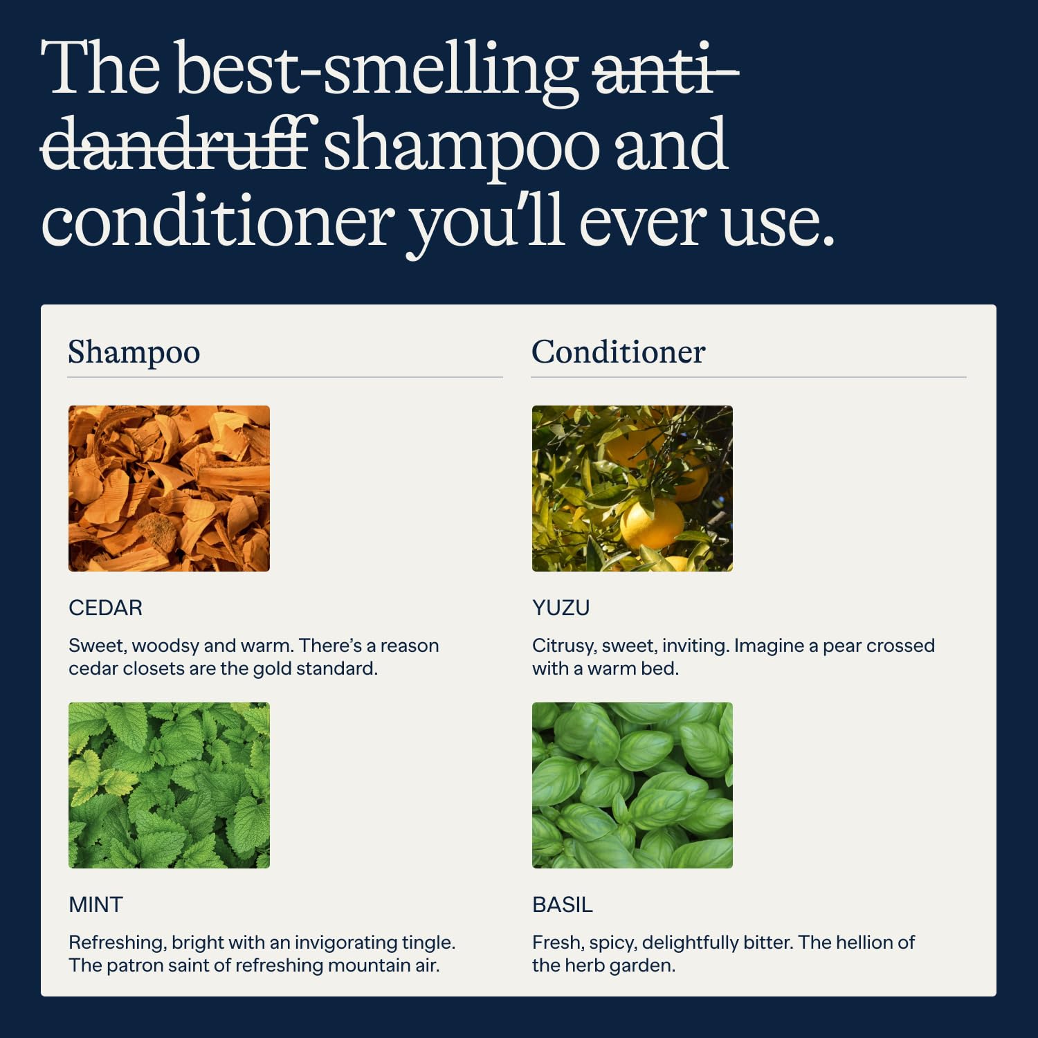 Flakes label close-up highlighting 2% pyrithione zinc and clean ingredients
