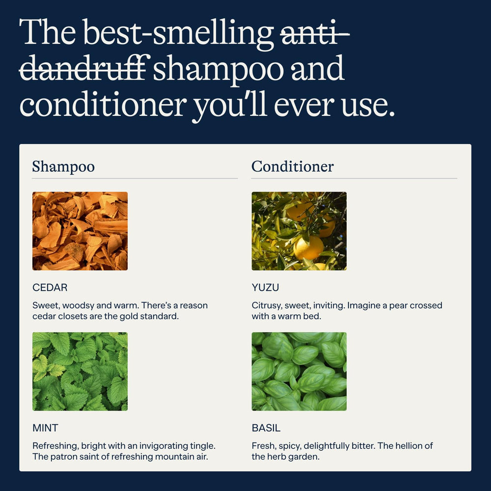 Flakes label close-up highlighting 2% pyrithione zinc and clean ingredients