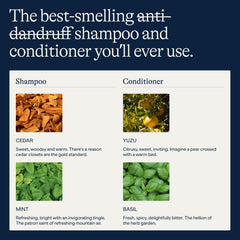 Flakes label close-up highlighting 2% pyrithione zinc and clean ingredients