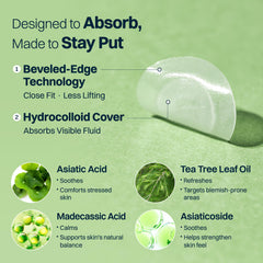 FRANZ two sizes side-by-side illustrating 10mm and 12mm options for spot variety