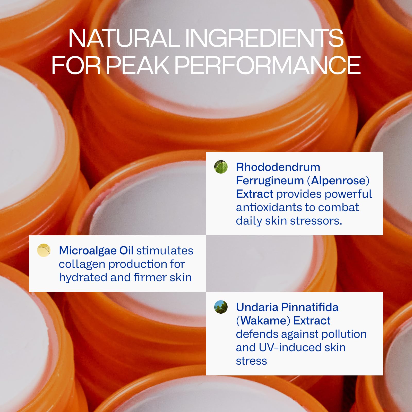 Freaks of Nature sun stick scale and label highlighting SPF50 and reef-safe credentials