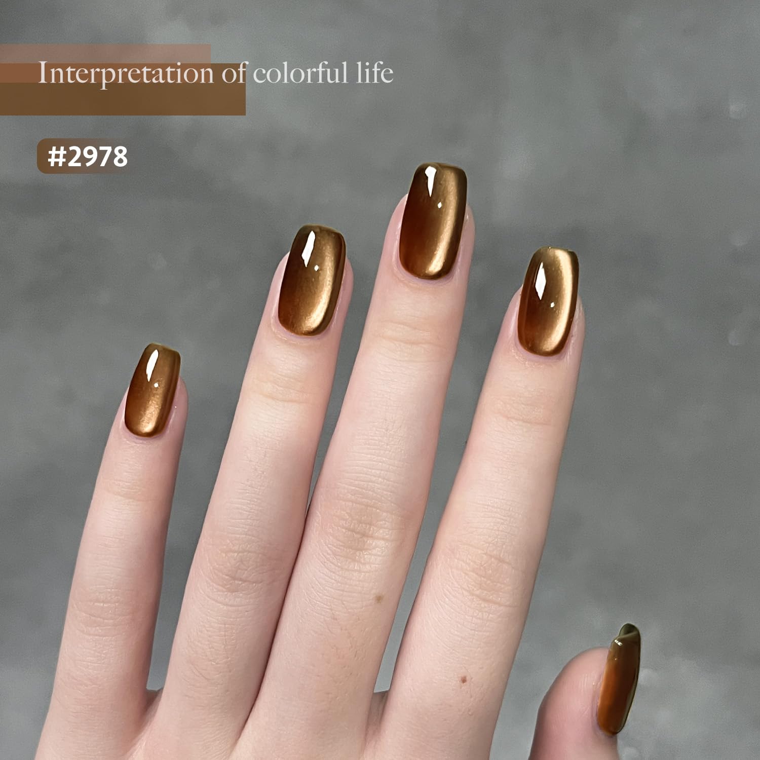 GAOY nail-wheel swatches of six jelly brown holographic shades for easy color choice