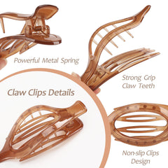Glaudmeiss detail of eight claw teeth providing firm grip for medium hair