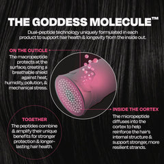Goddess Maintenance bottle in hand to show 1.7oz travel scale