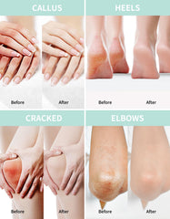 Grocerism ingredient detail image focusing on ceramide and botanical extracts for barrier support