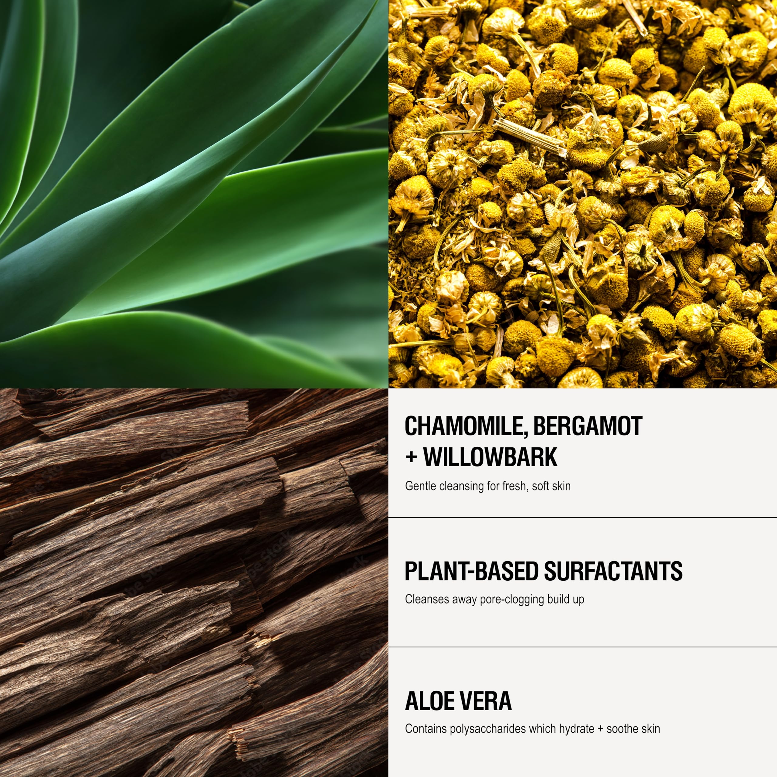 Grown Alchemist white willow bark ingredient highlight showing gentle exfoliation benefit