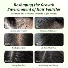 Gypsophila before and after hair volume improvement depiction
