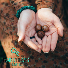 Hair Chemist macadamia and argan ingredients visual highlighting nourishment