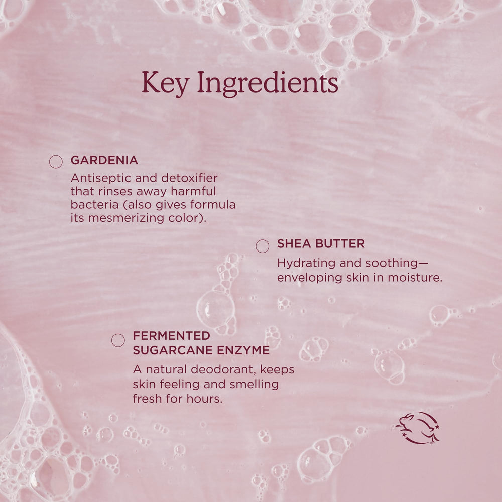 HANNI ingredients flatlay with shea butter and oatmeal benefits