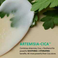 Hanyul ingredient label highlighting Artemisia and cica benefits