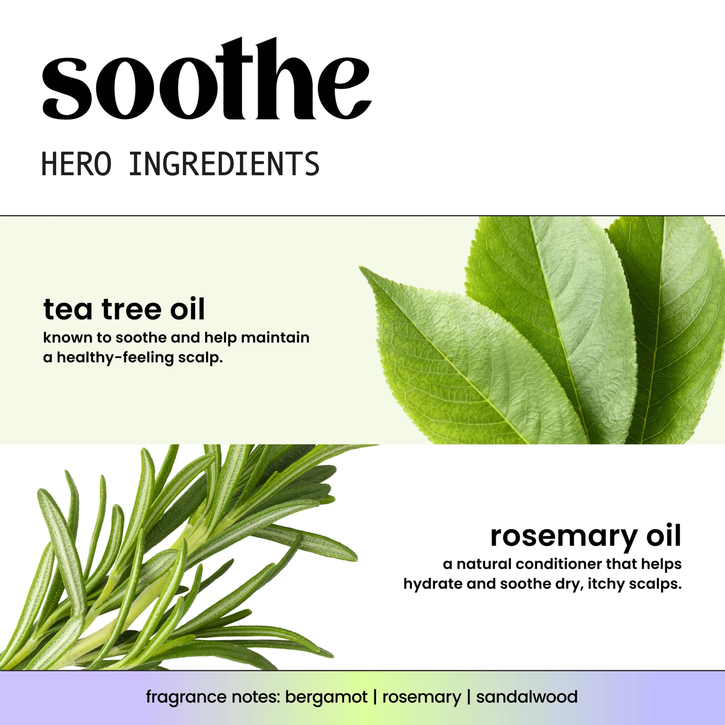 HASK close-up of ingredient label highlighting tea tree and rosemary benefits