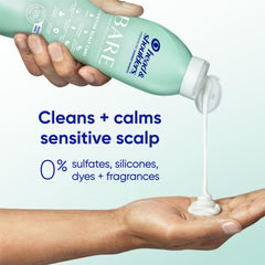 Head & Shoulders twin pack next to common bottle for scale comparison