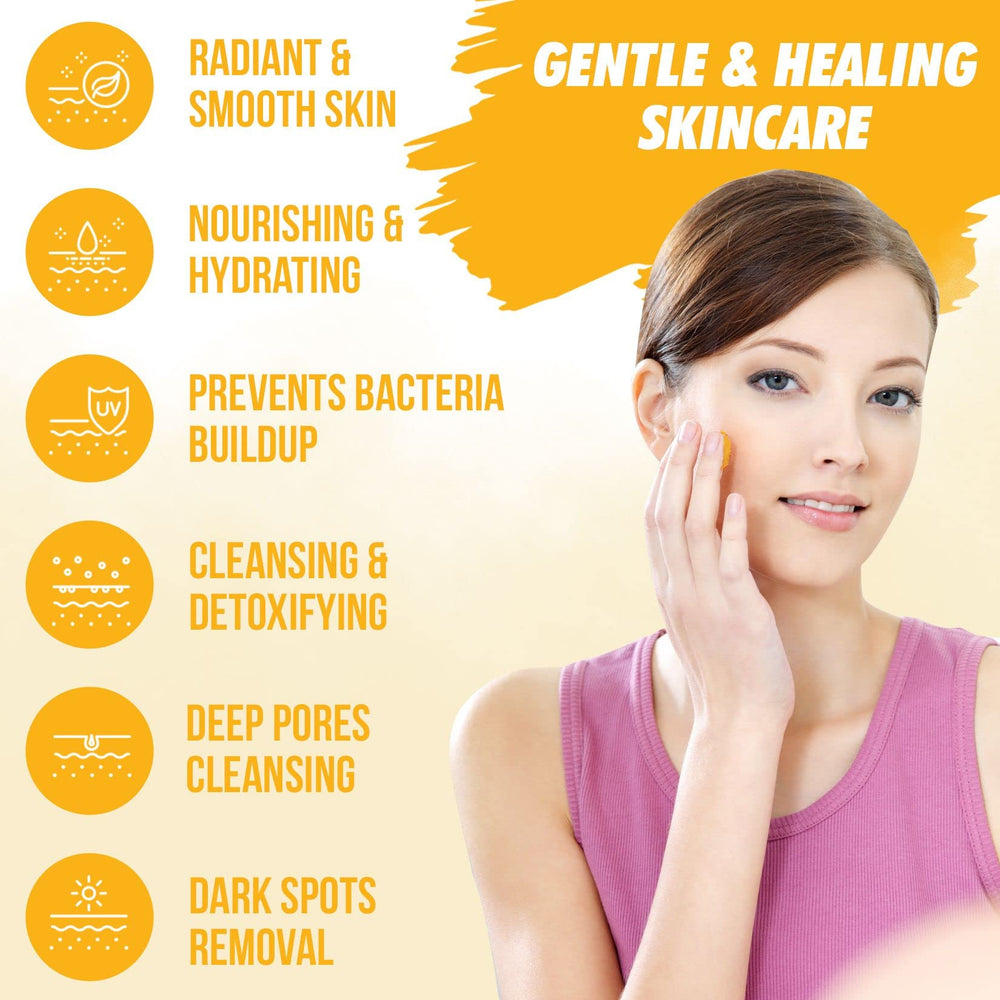Healov ingredient arrangement with turmeric and berries showing antioxidant benefits