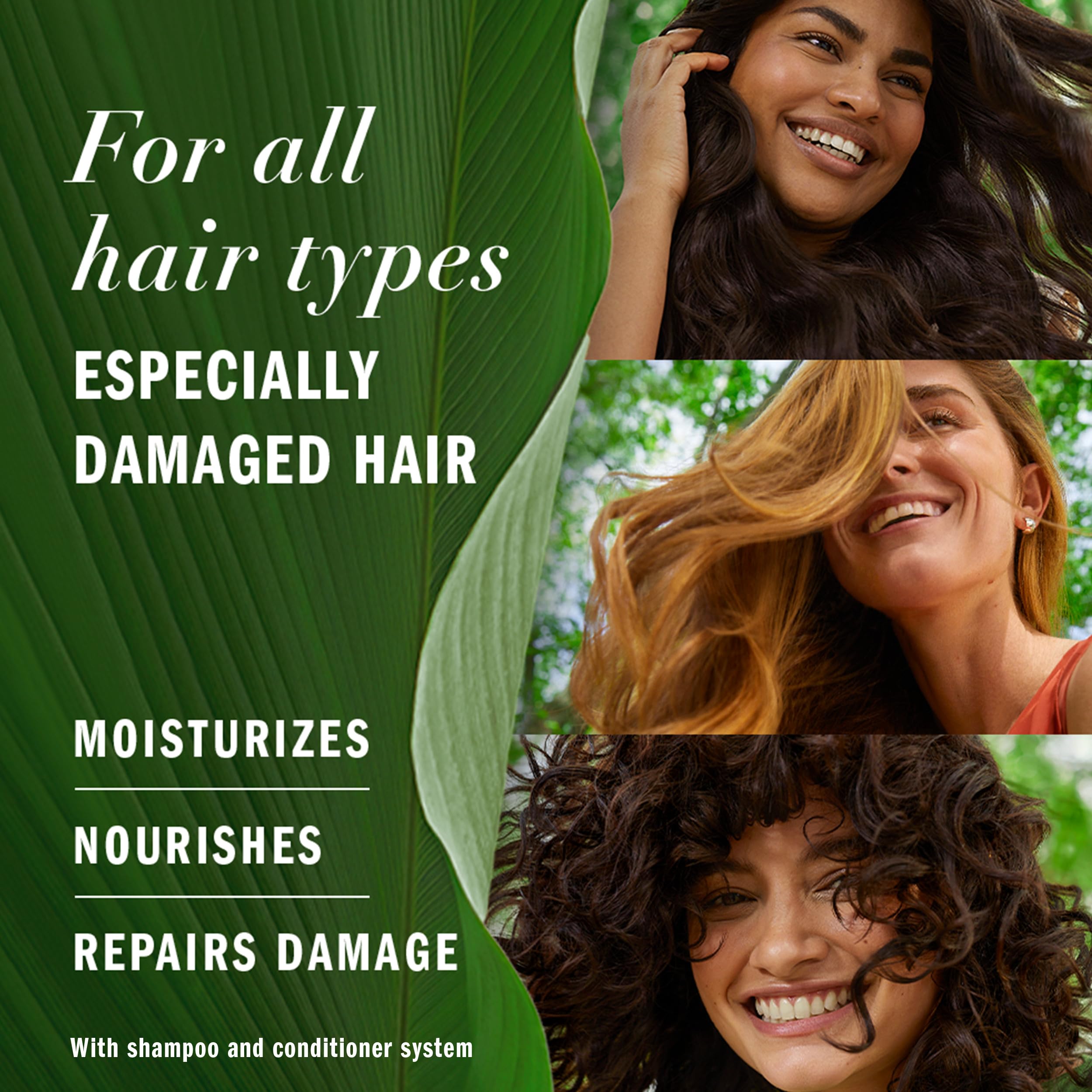 Herbal Essences label close-up highlighting ingredient claims and clean formulation benefits