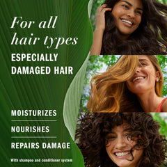 Herbal Essences label close-up highlighting ingredient claims and clean formulation benefits