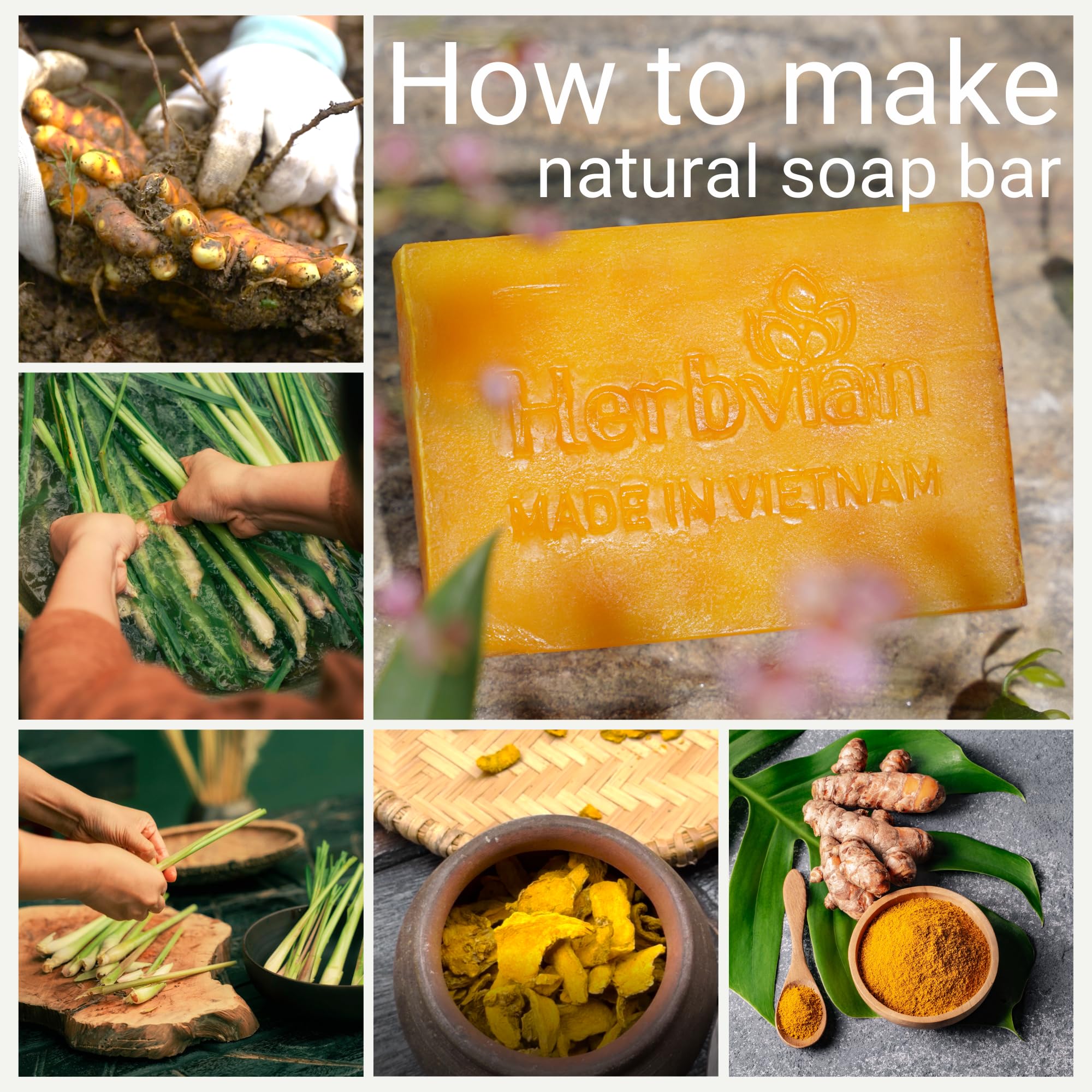 Herbvian lemongrass stalks and soap illustrating refreshing aroma