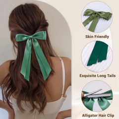 hisial clip mechanism detail showing alligator barrette for secure hold