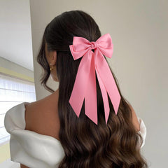 hisial shown in a high ponytail demonstrating secure hold and polished look