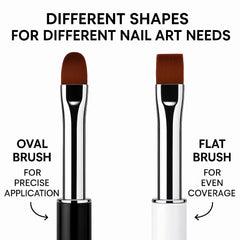 HomTop oval brush close-up highlighting bristle shape for smoother sculpting