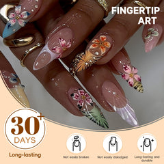 HOSAILY laid-out nail sizes display all 12 size pairs for precise fit and easy selection
