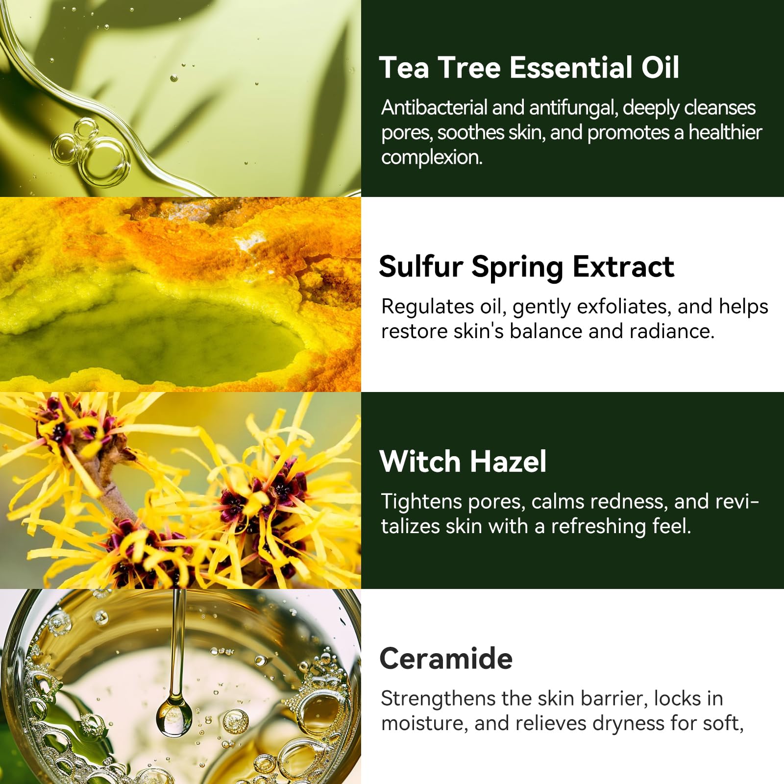 House of Nutrition foamy lather in hand illustrating gentle cleansing action