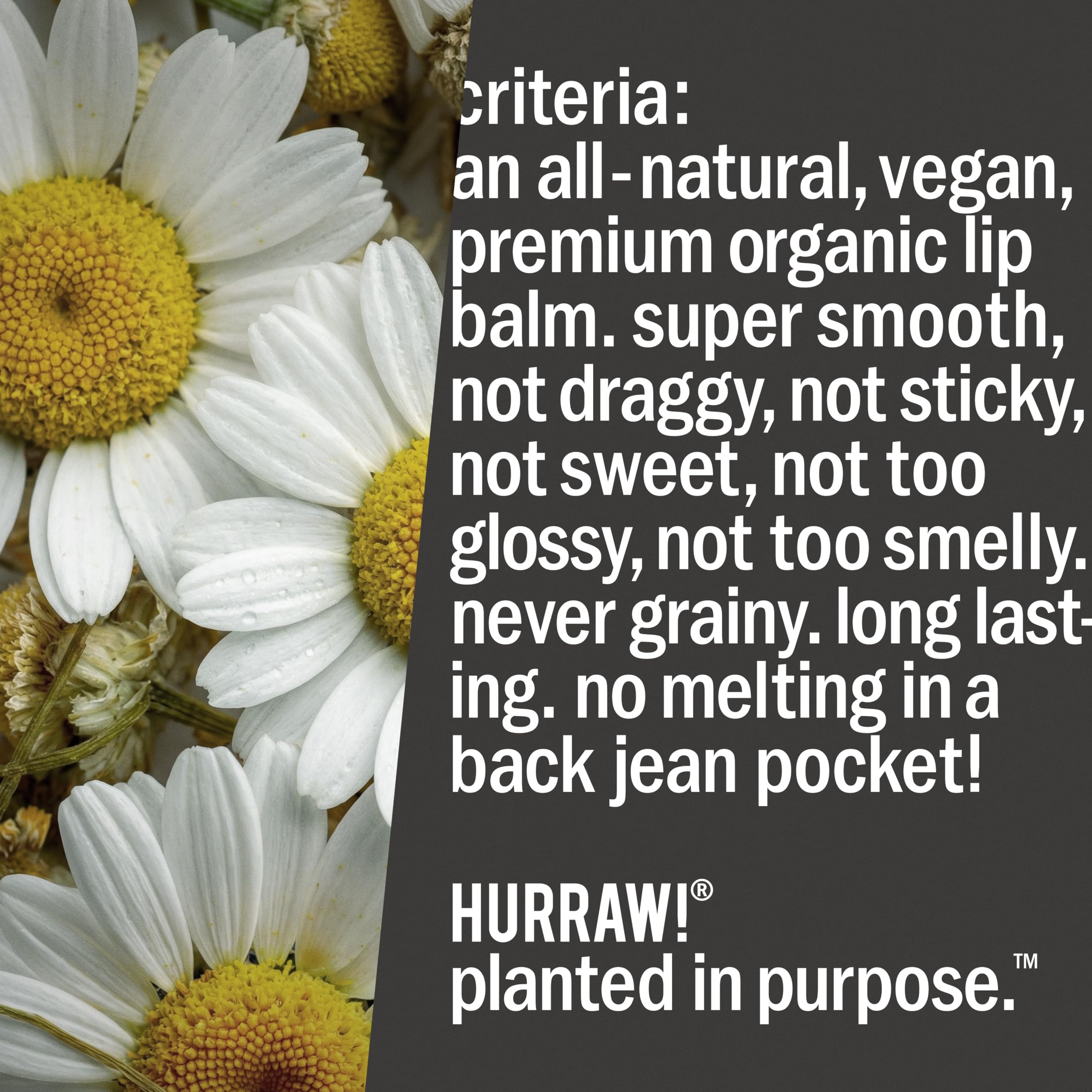 HURRAW! Moon tube beside coin showing compact size and portability