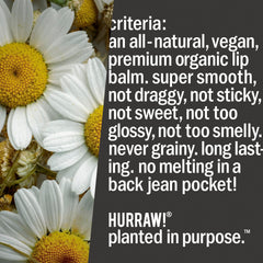 HURRAW! Moon tube beside coin showing compact size and portability