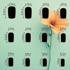 HZJXRT size comparison of false nails illustrating correct fit and selection