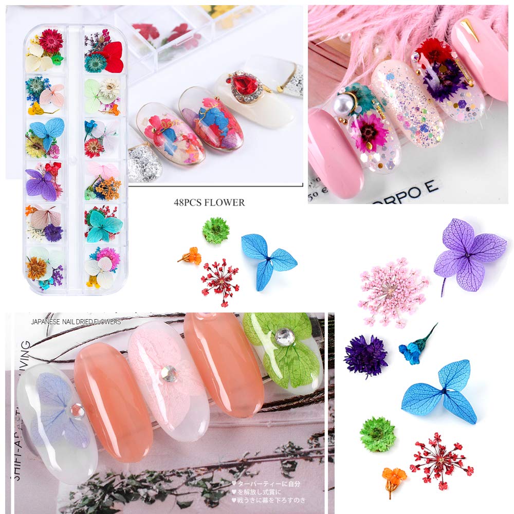 iFancer close-up of many tiny pressed flowers in 62 colors, offers color variety for designs