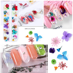 iFancer close-up of many tiny pressed flowers in 62 colors, offers color variety for designs