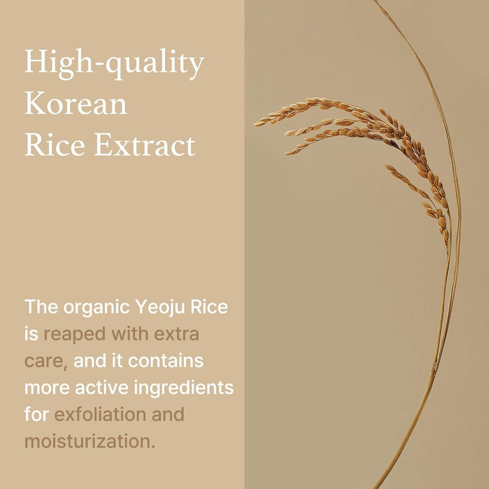 I'm from rice grain and extract display emphasizing natural ingredient potency