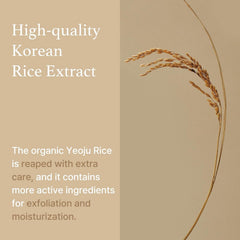 I'm from rice grain and extract display emphasizing natural ingredient potency
