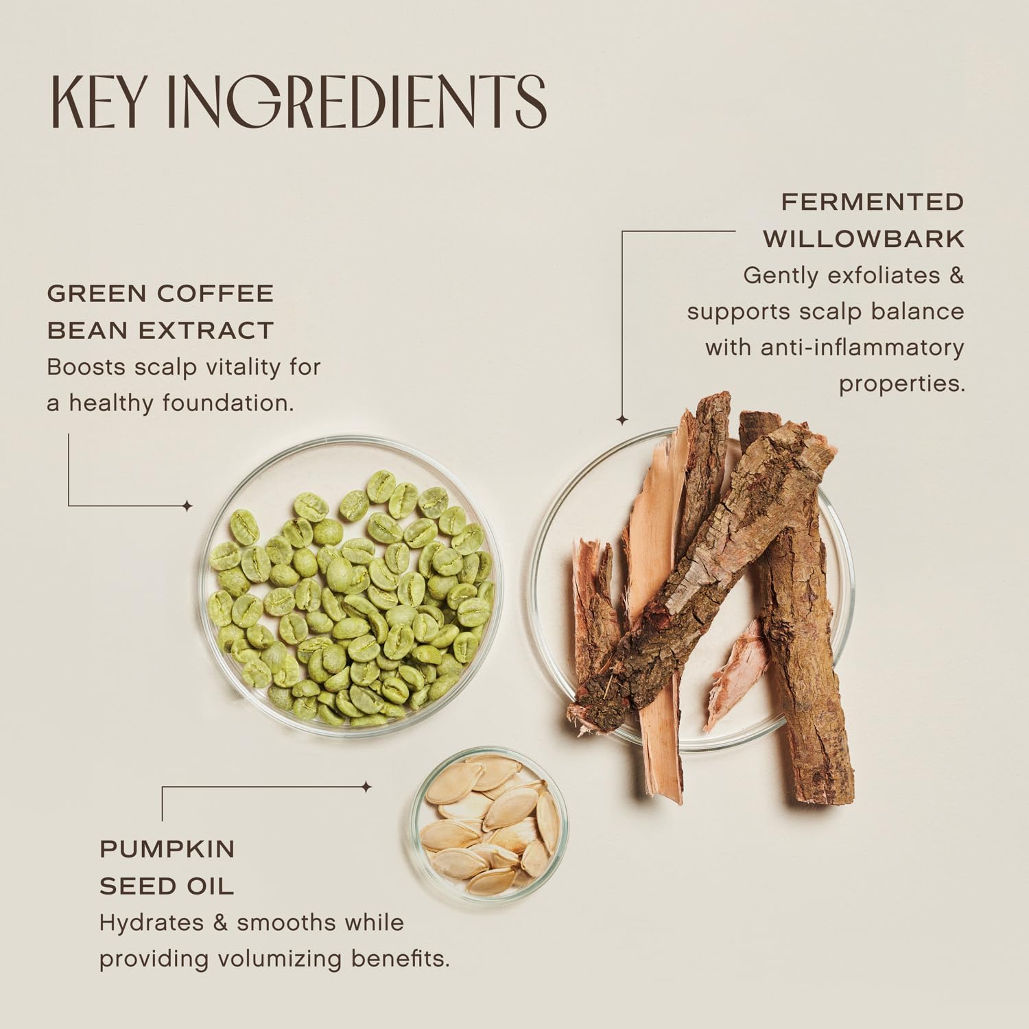 INNERSENSE willowbark and green coffee display showing natural actives benefit