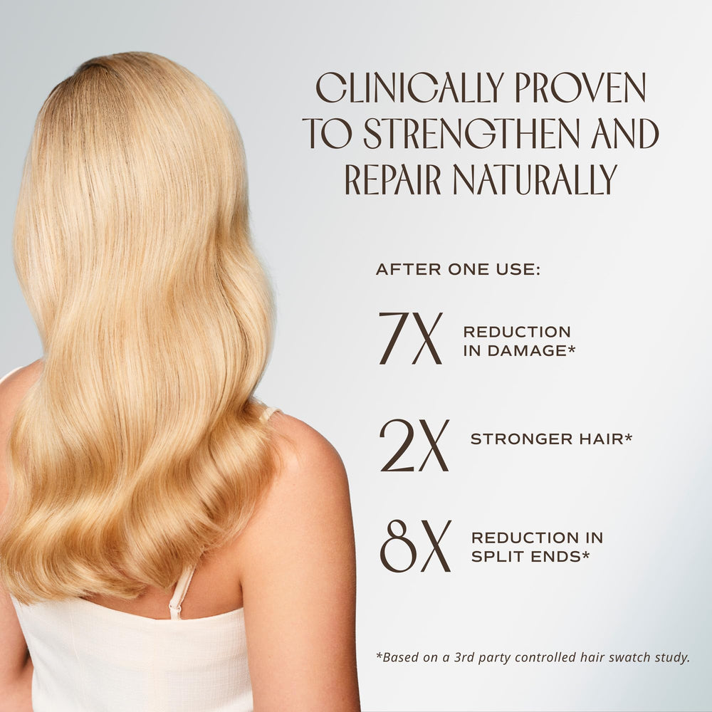 INNERSENSE moringa seed display highlighting protein source for stronger hair