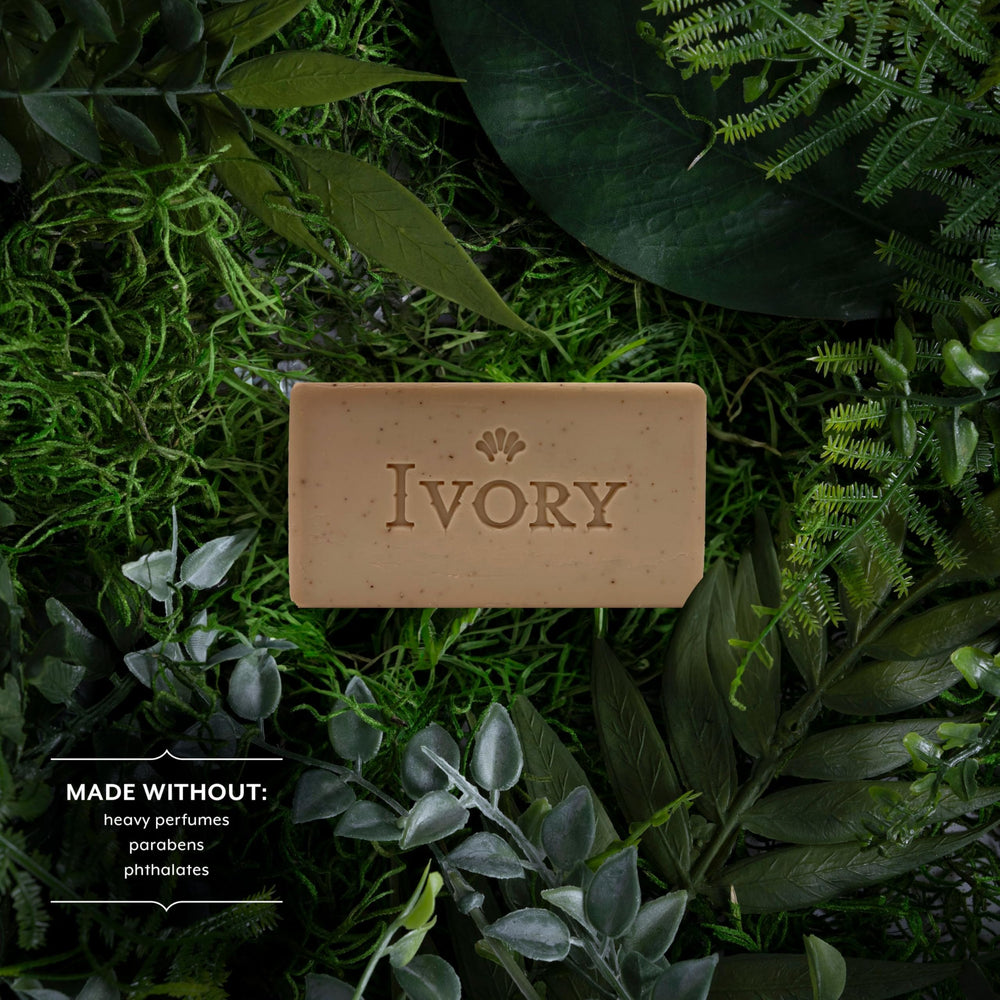 Ivory close-up of apricot seed particles highlighting effective gentle scrub