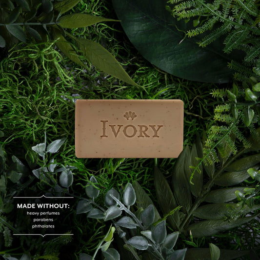 Ivory close-up of apricot seed particles highlighting effective gentle scrub
