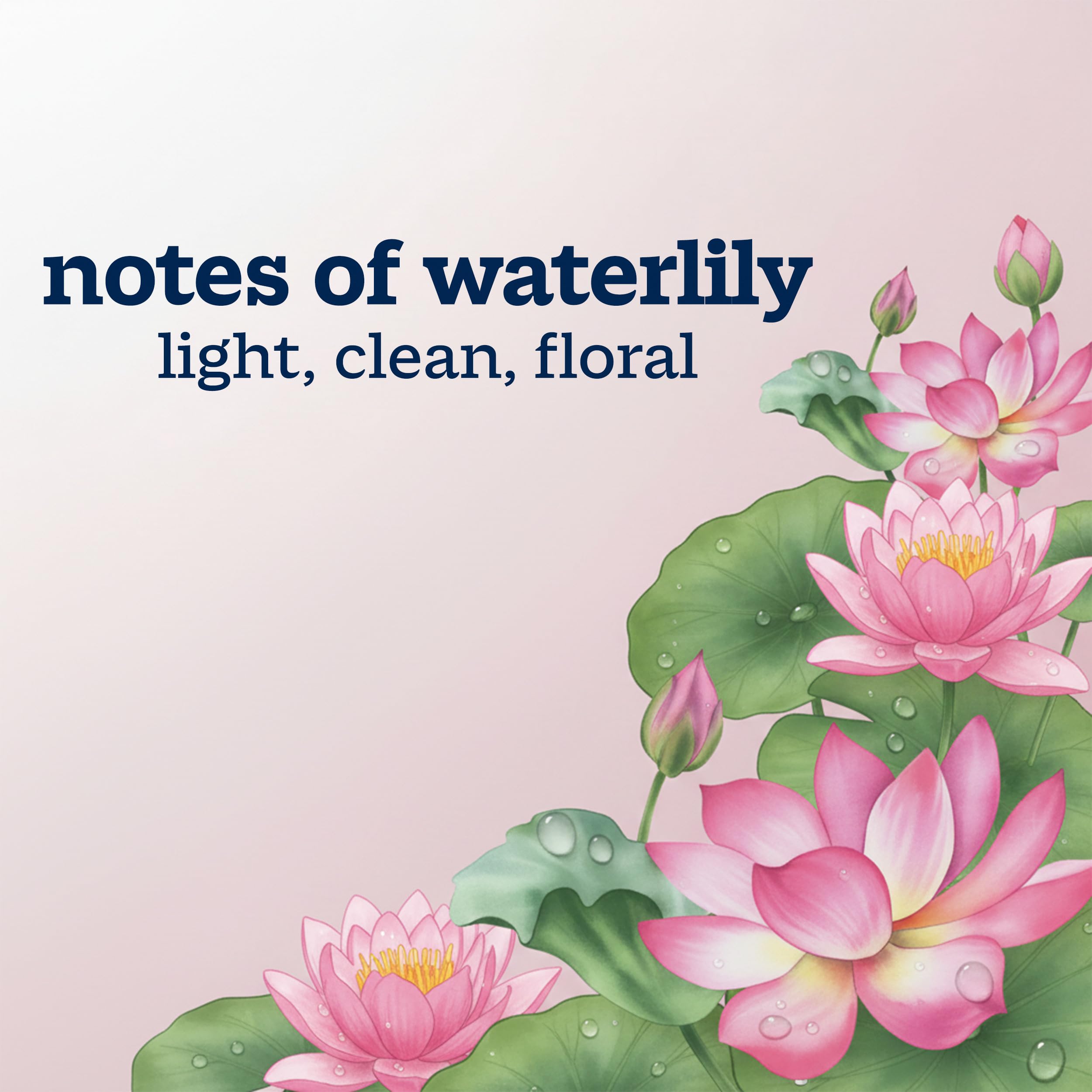 Ivory water lily scent visual suggesting fresh floral aroma without heavy perfumes