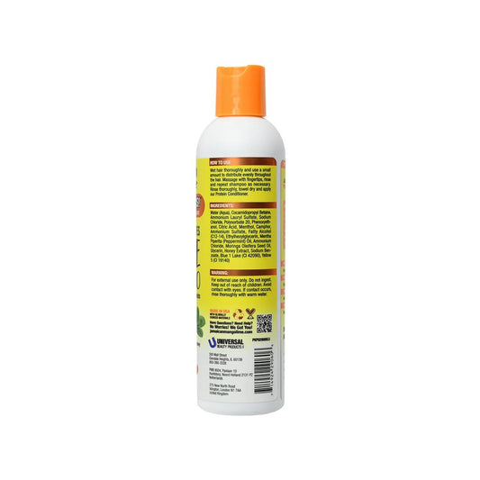 Jamaican Mango & Lime closeup of moringa and peppermint ingredients highlighting nourishing benefits