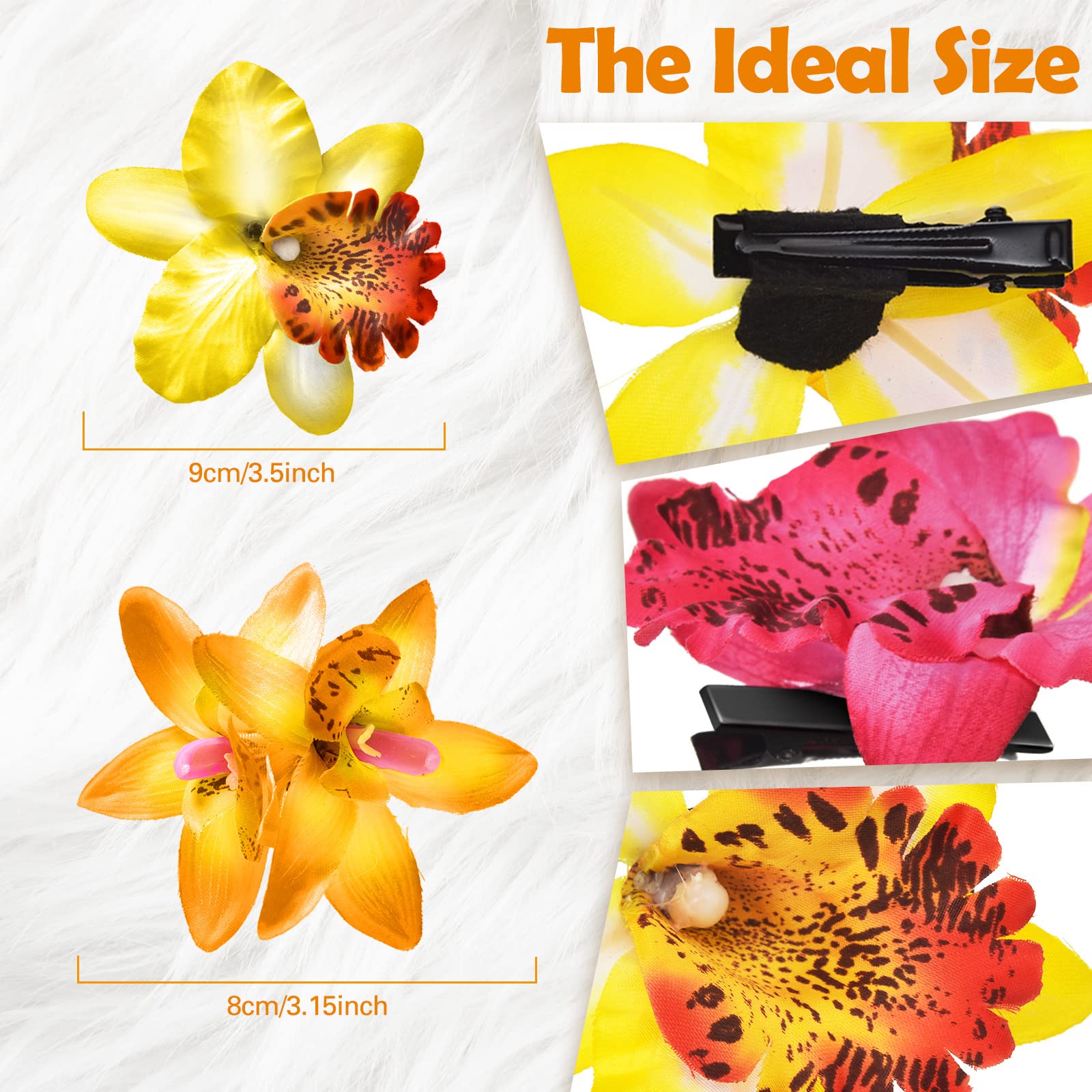 Jexine two size comparison displaying 8 cm and 9 cm flower diameters