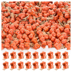 JMZYJZH capybara clips front packaging showing variety and value