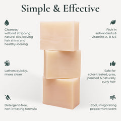 Hand holding J·R·LIGGETT'S shampoo bar to show scale, demonstrating compact travel-friendly benefit