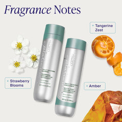Kenra shampoo and conditioner pair showing system styling support