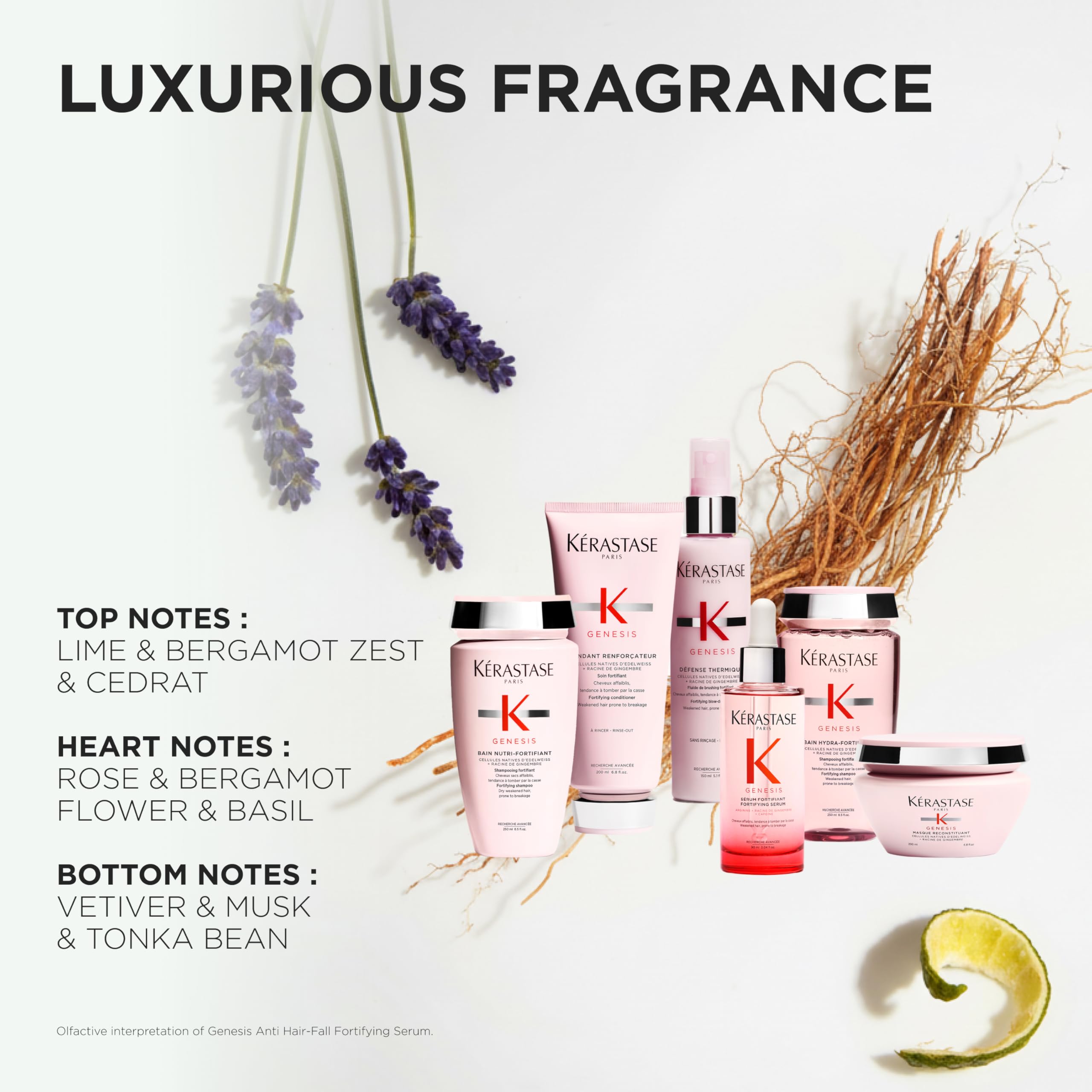 KÉRASTASE Genesis ginger root and edelweiss ingredients highlighting strength