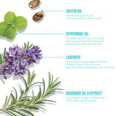 KISS COLORS & CARE surrounded by botanical extracts showing natural ingredient focus