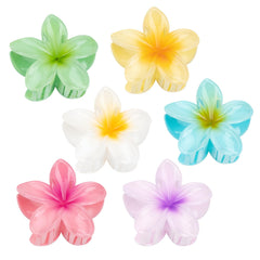 Kivzex plumeria front packaging showing six colorful clips, vibrant presentation benefit