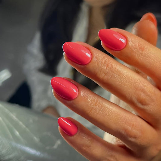 KQueenest front packaging showing coral set and benefits