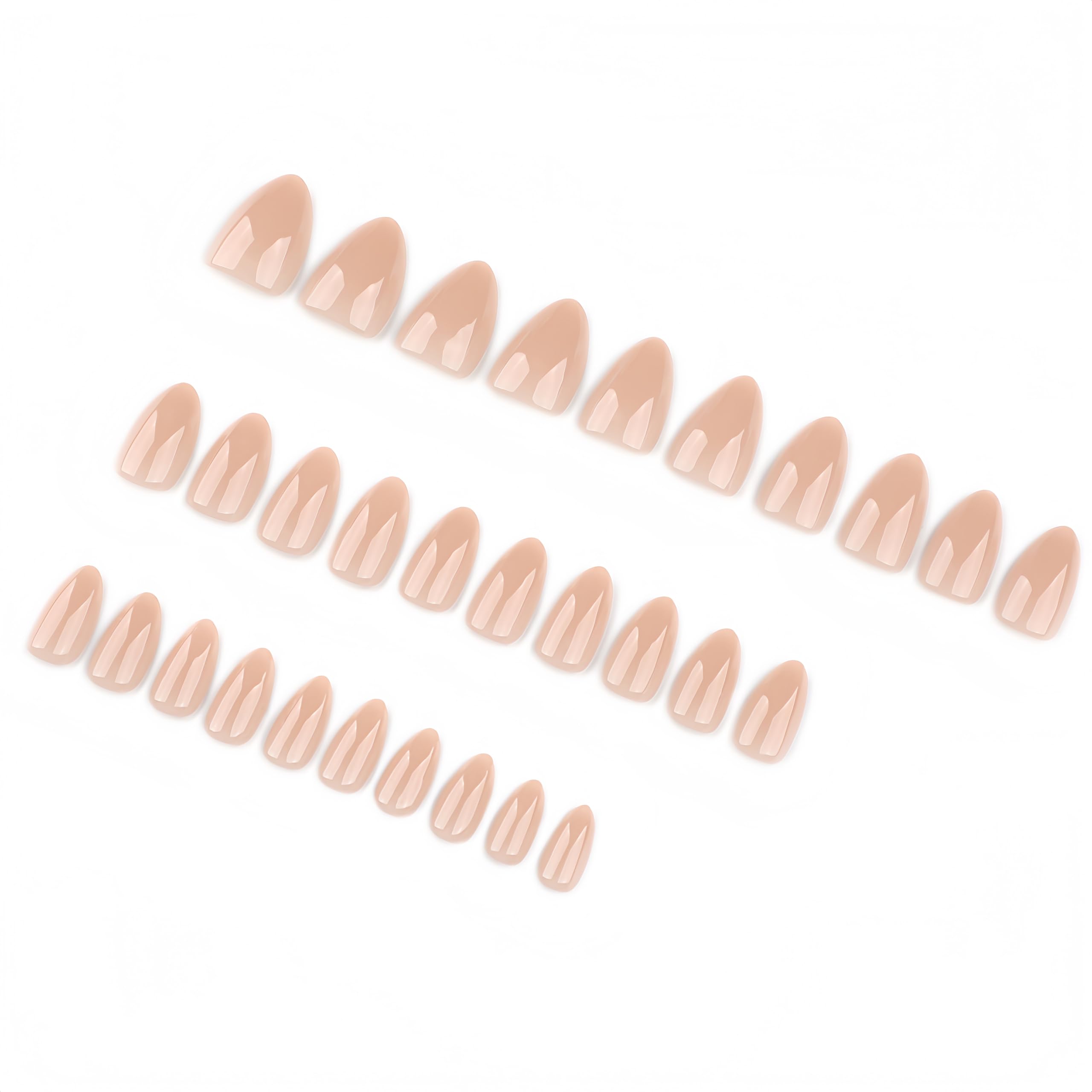 KQueenest top view layout showing uniform almond shape for a natural polished look