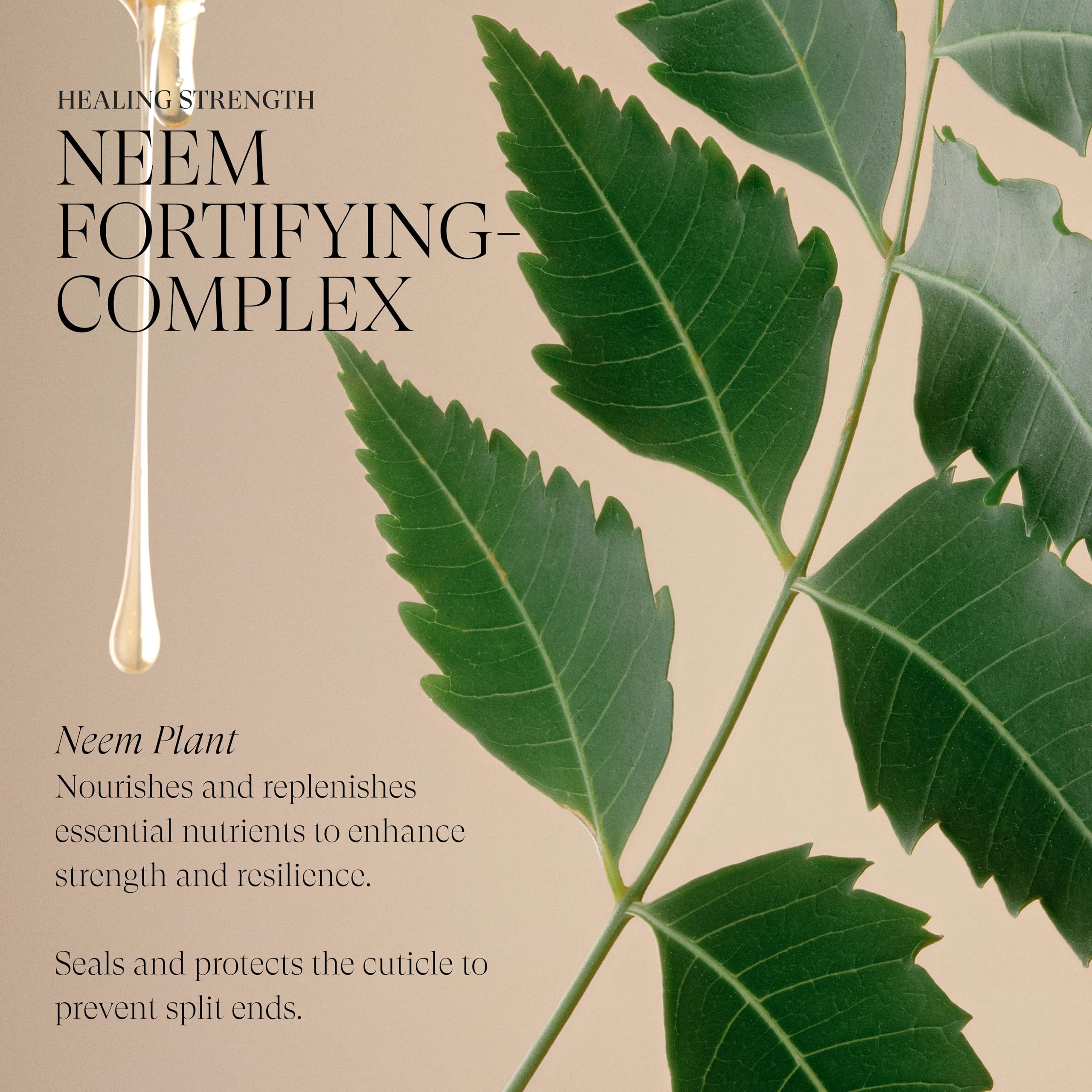 L’ANZA neem oil extract ingredient photo conveying plant-powered nourishment benefit