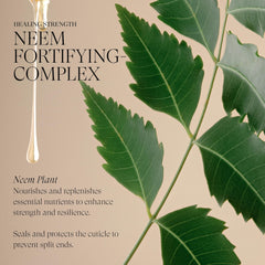 L’ANZA neem oil extract ingredient photo conveying plant-powered nourishment benefit