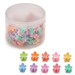 Lahnie front packaging showing 100 mini flower clips and variety